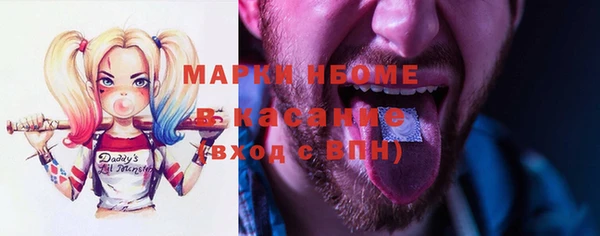 дживик Каменка