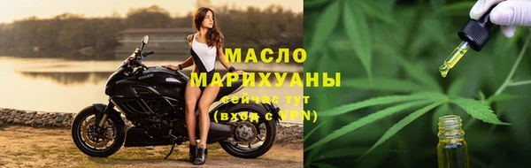 дживик Каменка