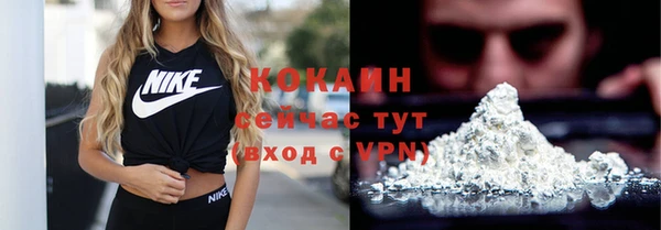 дживик Каменка