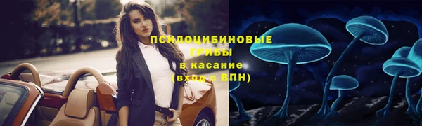 ГАЛЛЮЦИНОГЕННЫЕ ГРИБЫ Каменск-Шахтинский